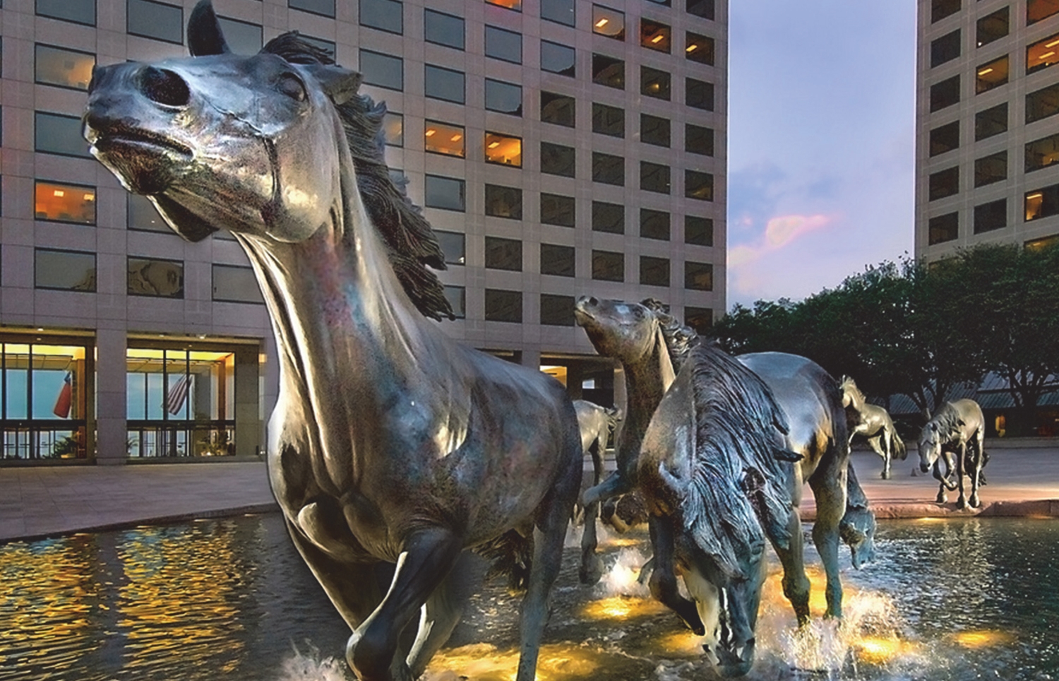 Las Colinas Mustangs.jpg