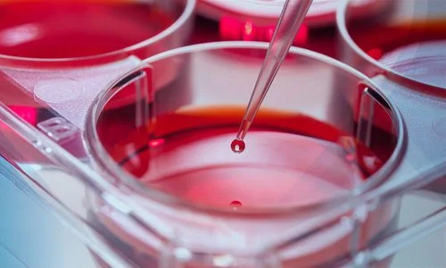 Breakthrough Study Showcases PMD-026’s Potential in Blood Cancer Treatment