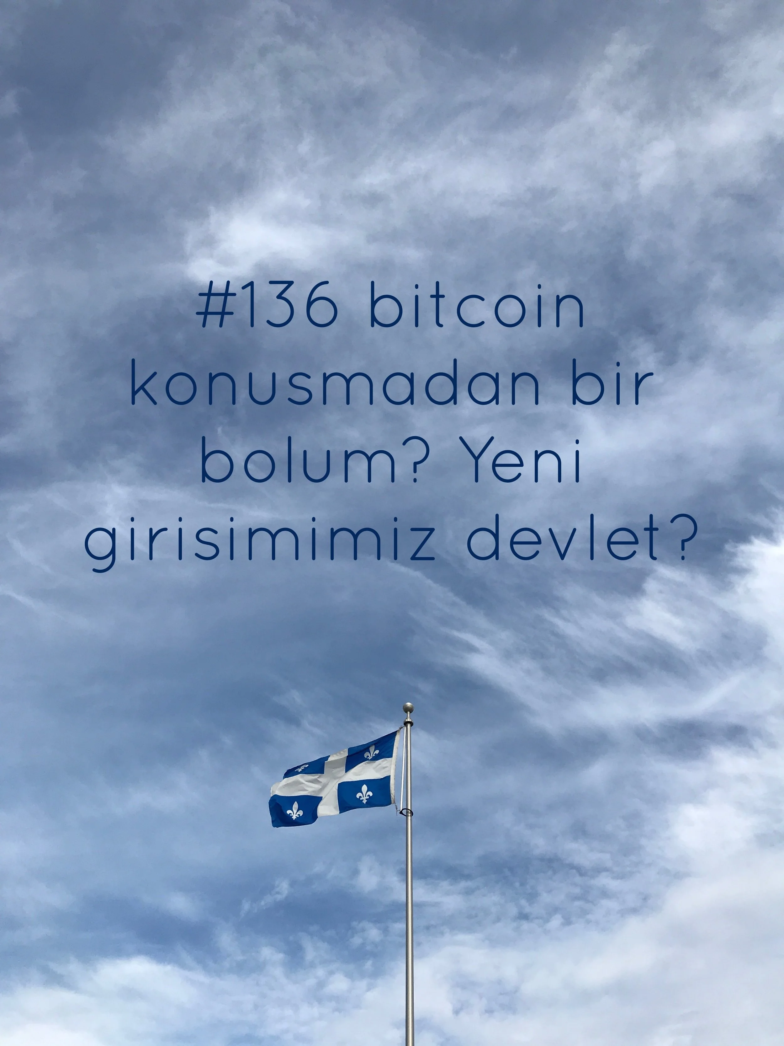 Devlet girisimi.jpg