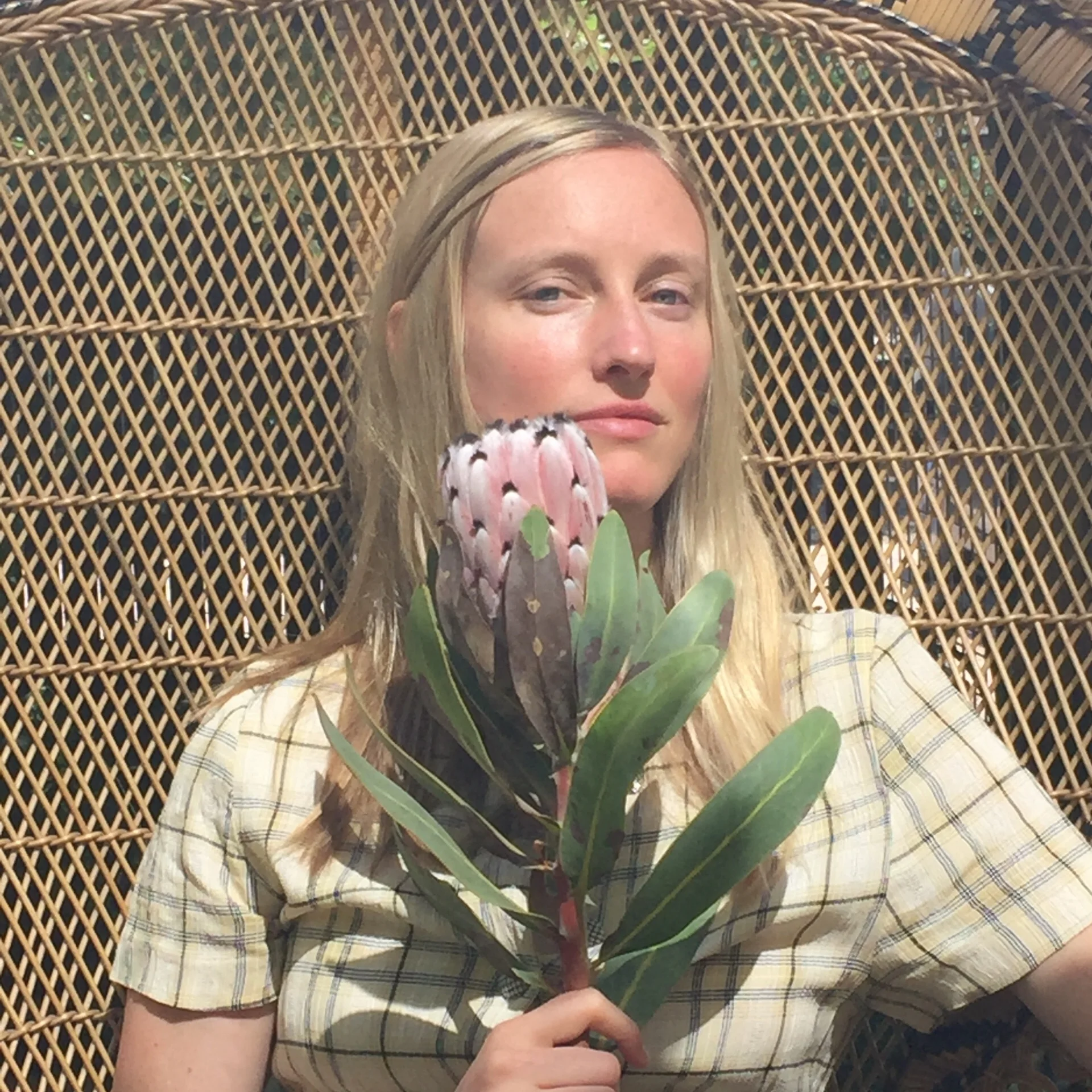 Image-1-1.jpg