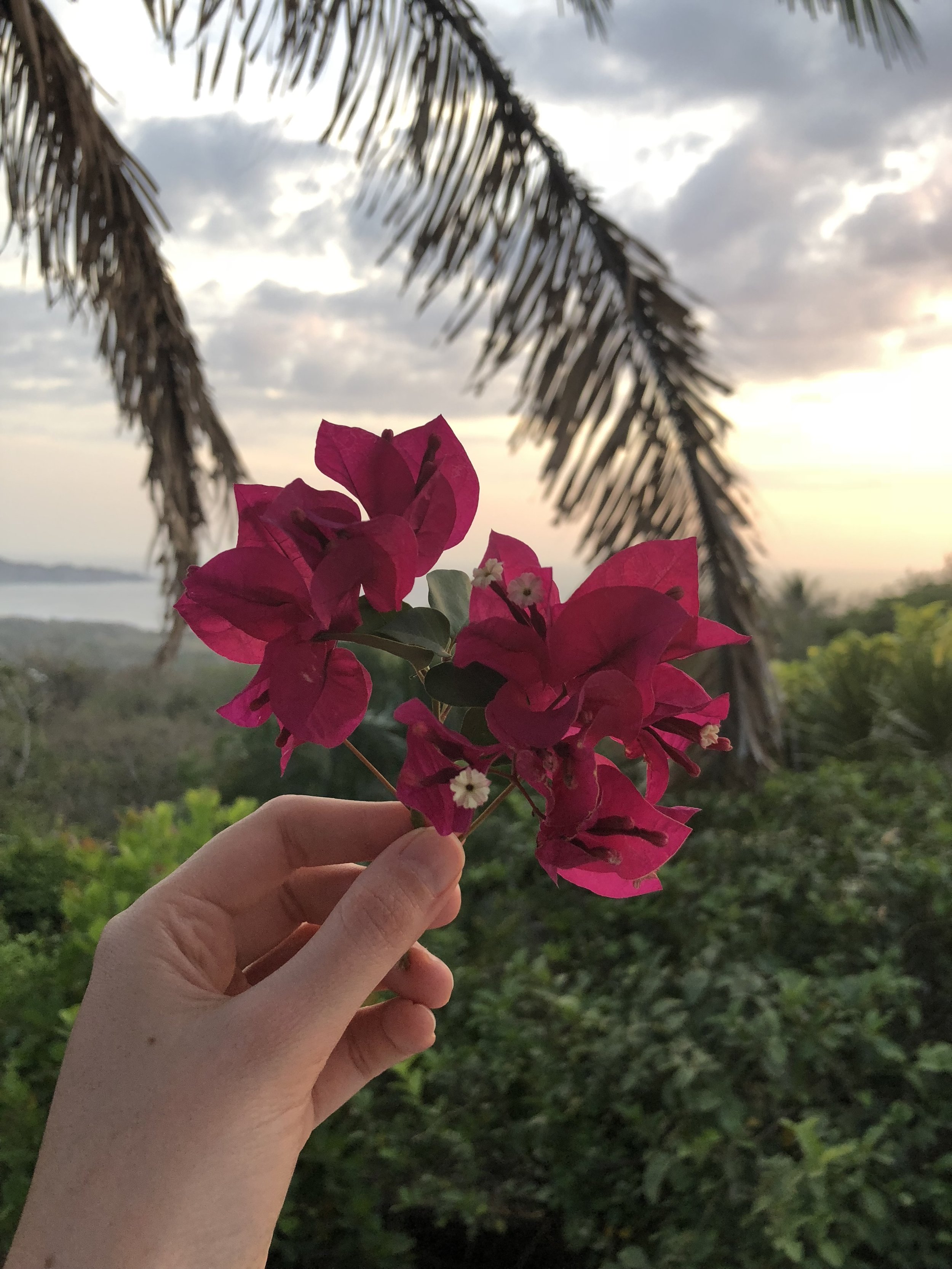 IMG_3335.jpeg