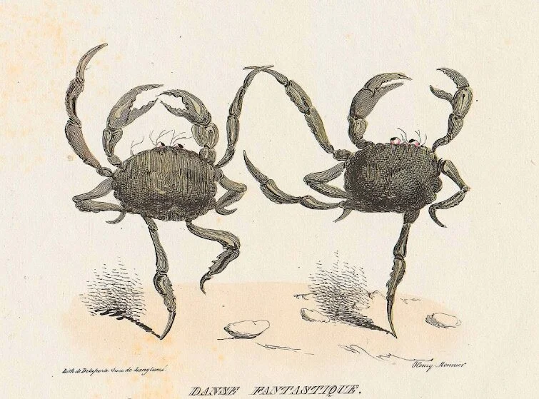 Henry Monnier, Dancing Crabs (1831)