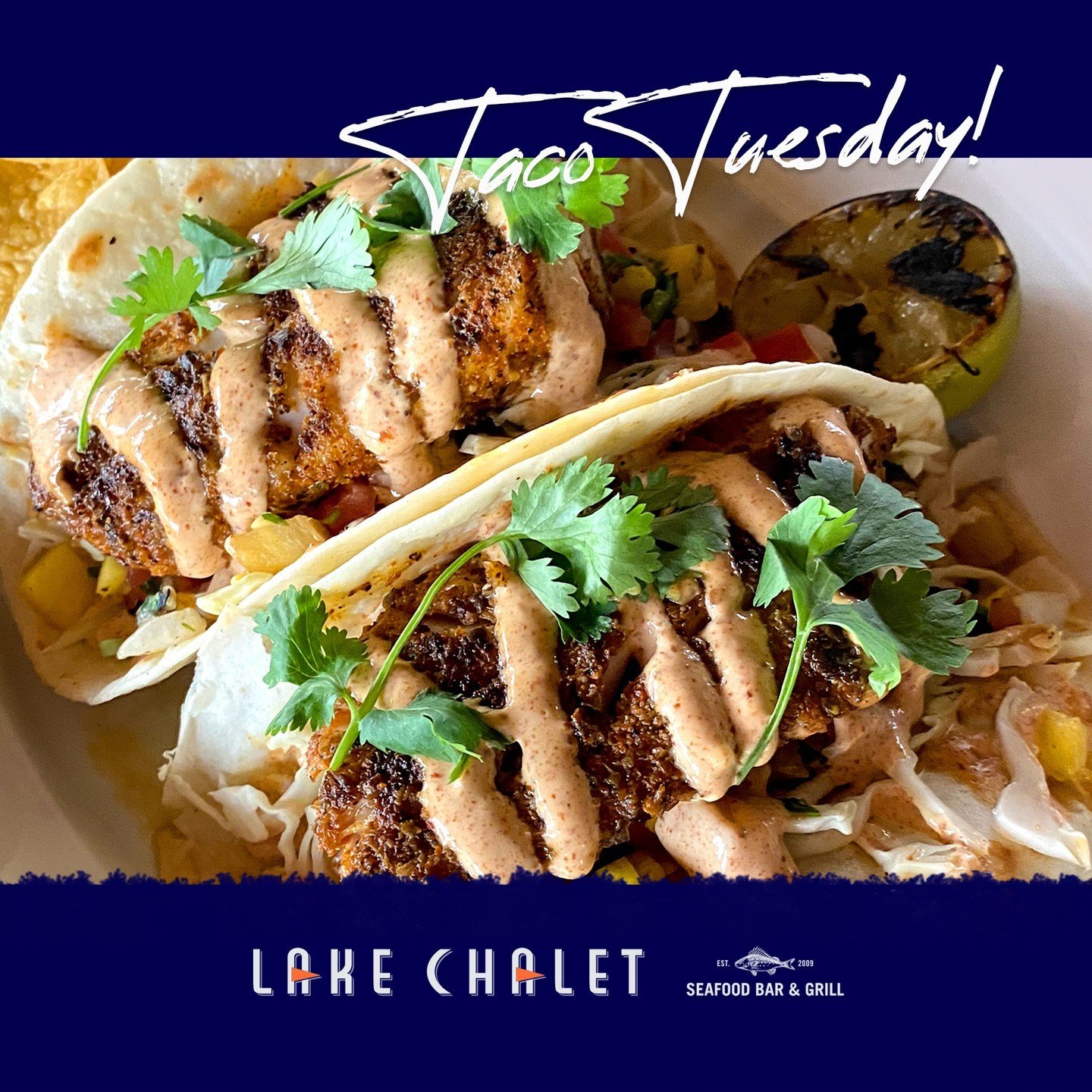 Did you say Happy Hour?
Tacos, Huevos Diablos, Ceviche, Guac &amp; Chips, Shrimp Cocktail, Ahi Tacos and more. 
Margaritas and brews, too. 

 #TacoTuesday #MexicanFood #Foodie #SeafoodLovers #lakemerritt #lakechalet #oakland