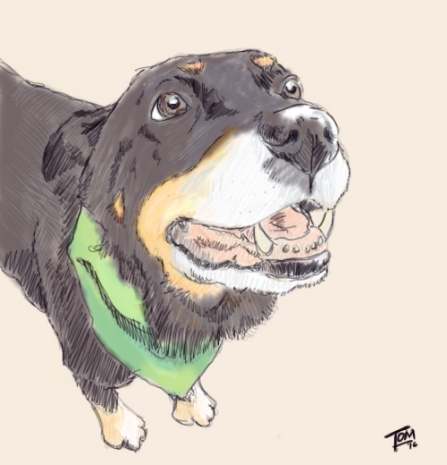Phoebe