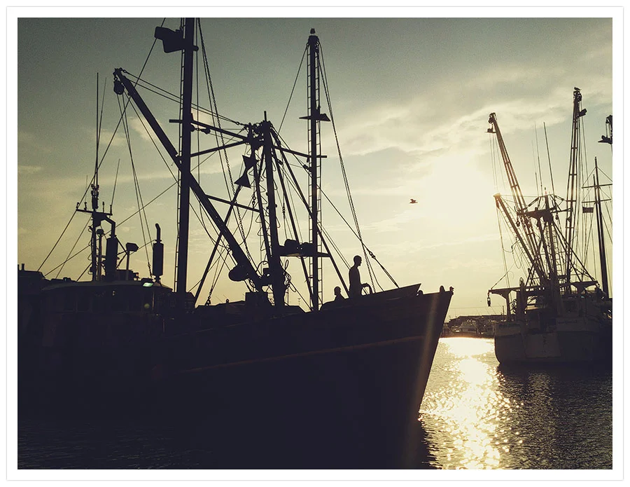 cape-may