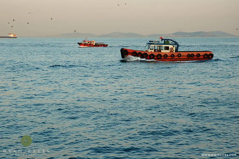 turkey-04