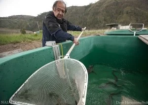 The Lost Fish.jpg