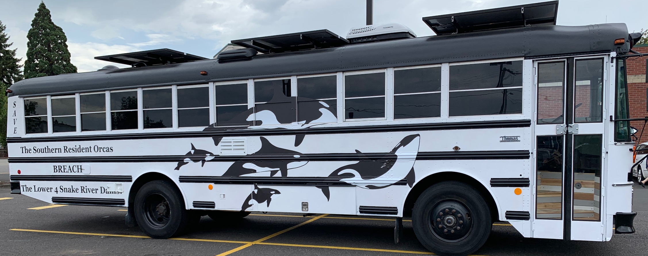Orca Oracle Bus
