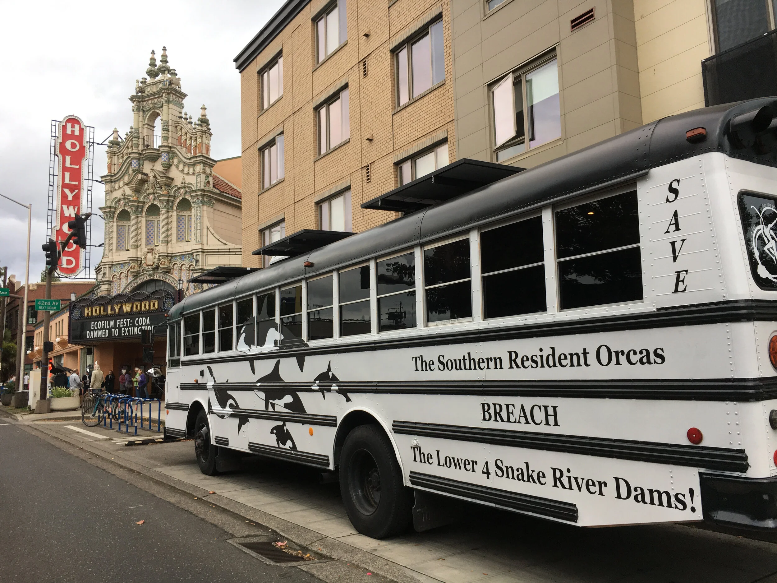 IMG_1485_Orca Oracle Bus copy.jpg