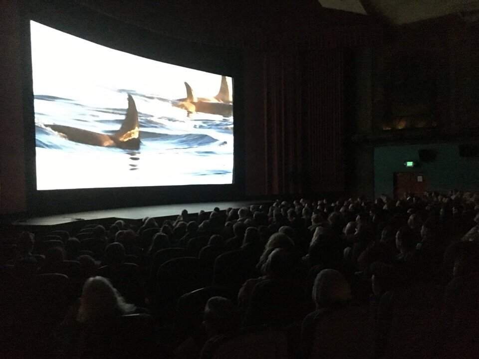 Portland EcoFilm Fest_DAMMED TO EXTINCTION-soldout.jpg