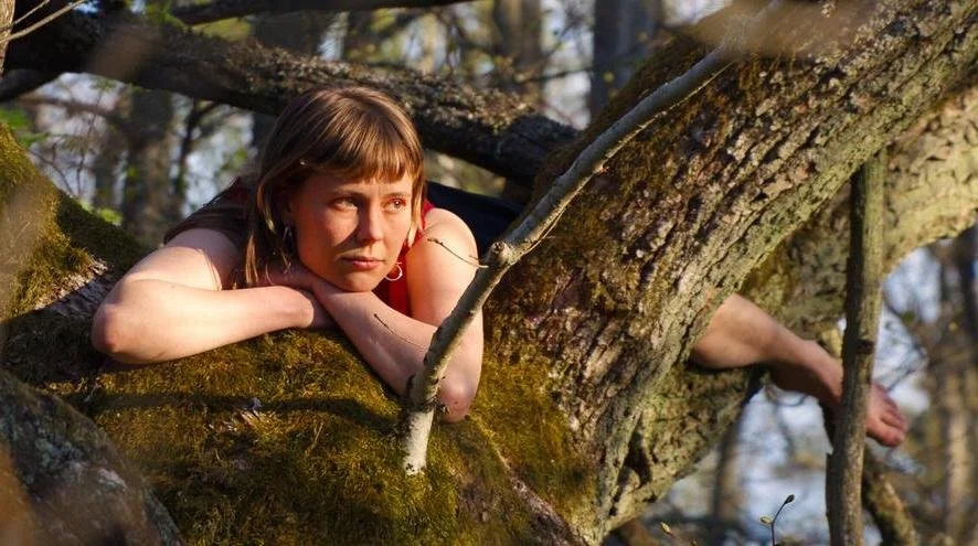 ONCE UPON A TIME IN A FOREST