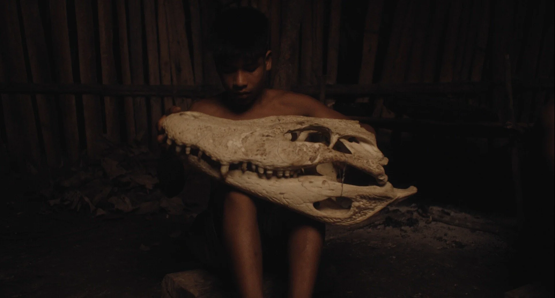 NEW INDIGENOUS FILMS