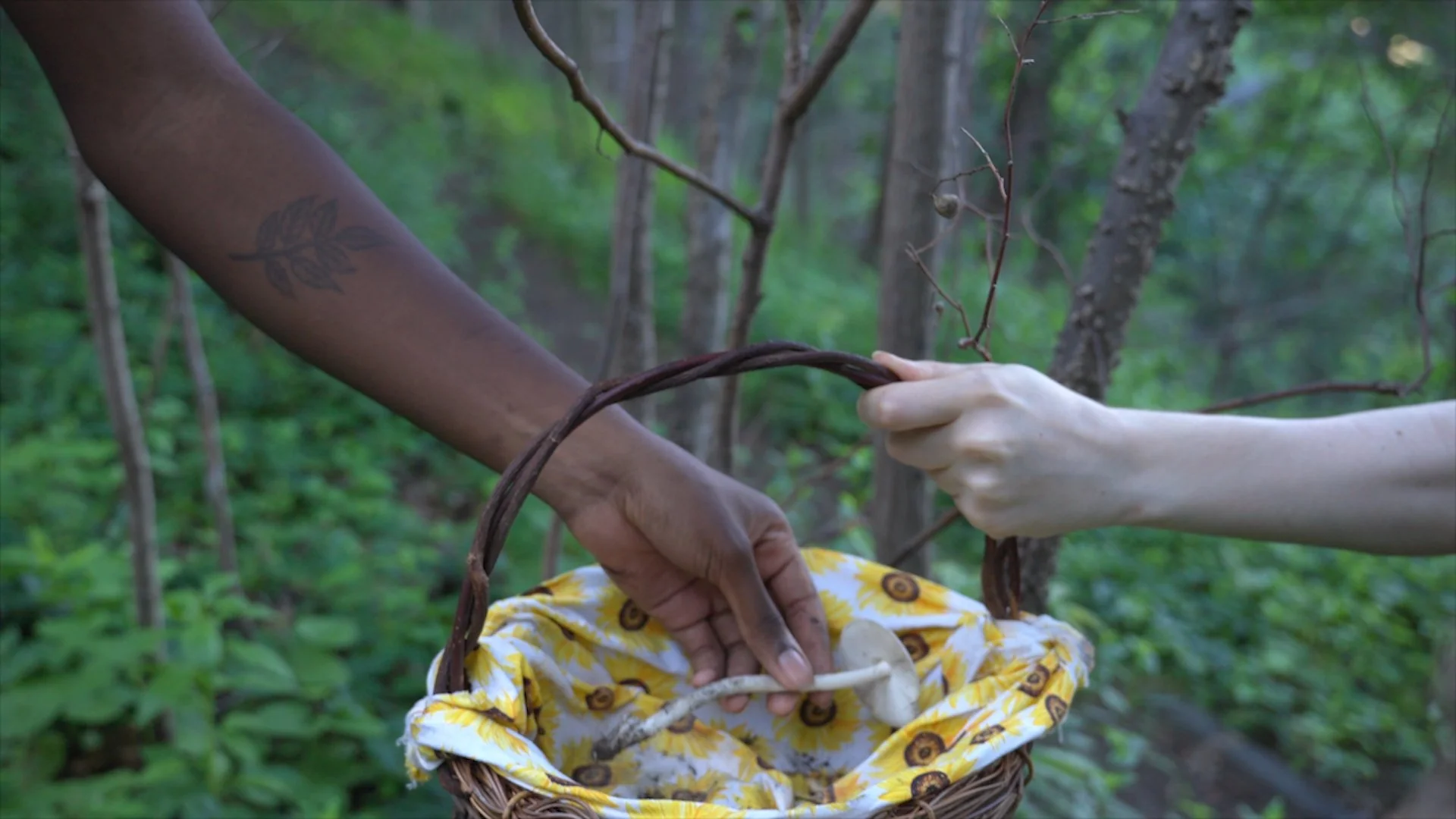 PYROPHILES: ON FIRE AND FUNGI