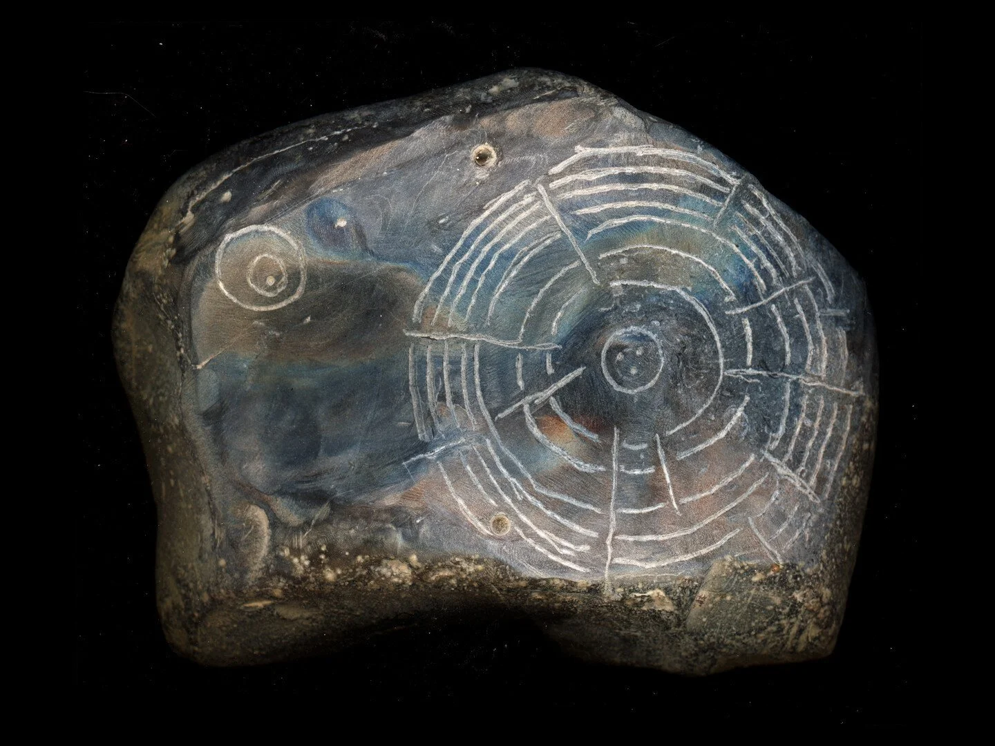 WITNESS: AN ORGANIMA FILM