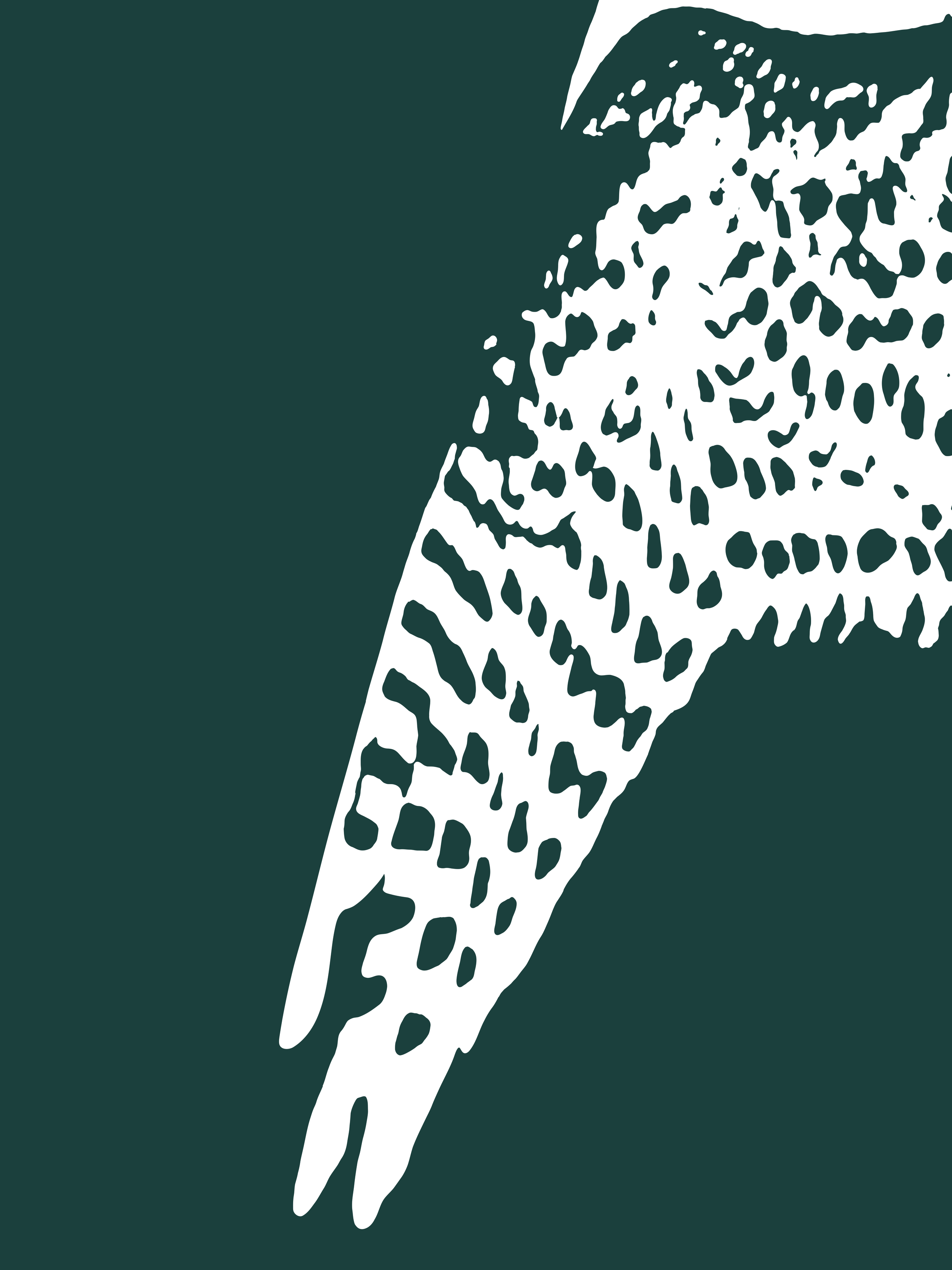 Best of the Fest in Florence, OR