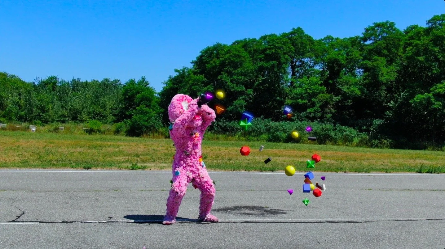 EXPANSIVE ECOLOGICAL IMAGINATION 1 (w/Kalmia Traver)