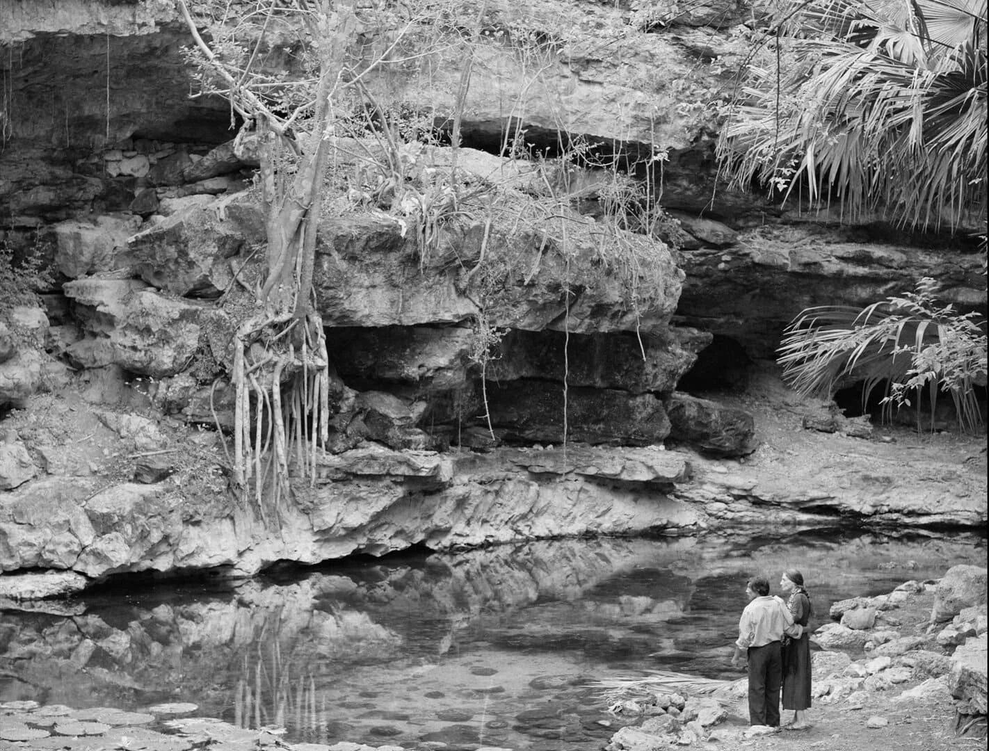 Encore Presentation: COSMOS (2026 Best Feature Film)