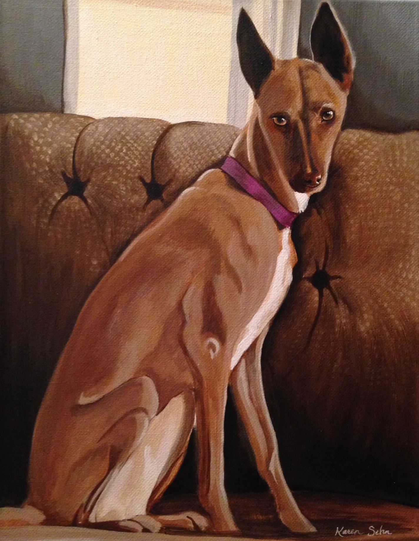 Pretty Whippet