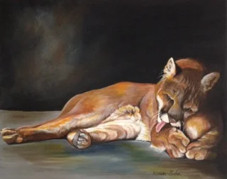 mountain lion (pretty kitty)