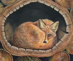The Fox's Abditory