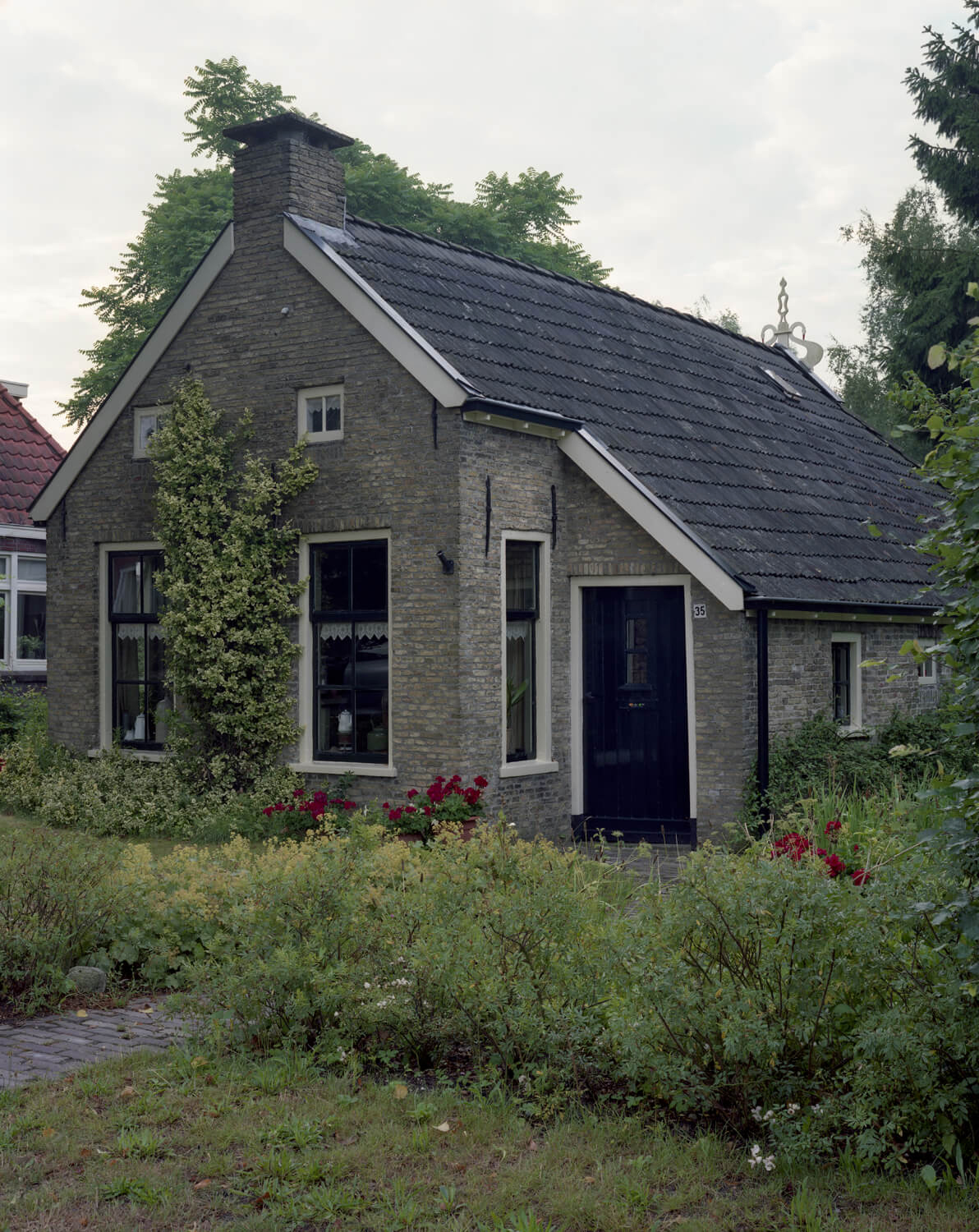 Friesland.2.2010 (1).jpg