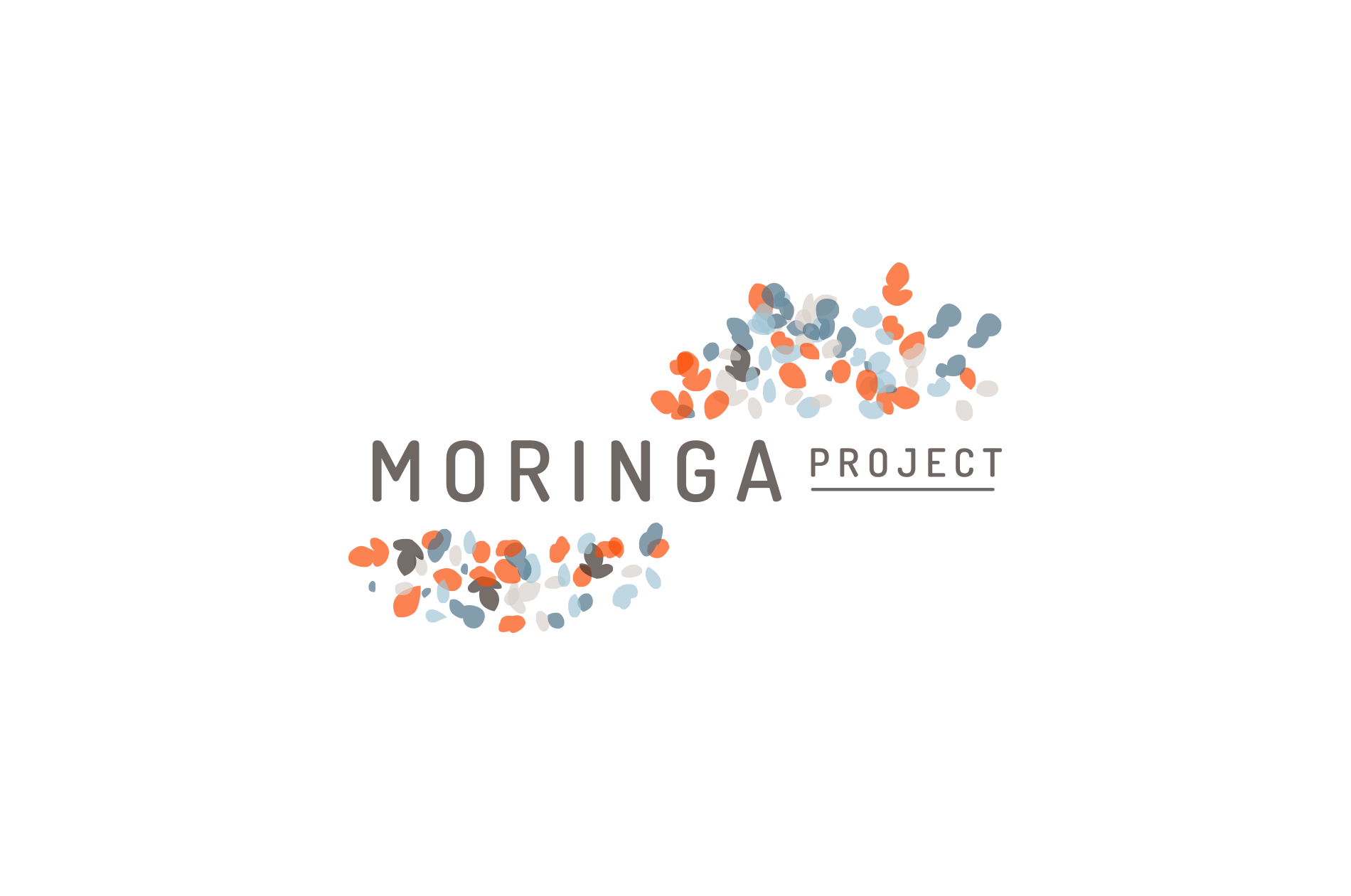 Moringa-Project---Assets-for-Website5.png