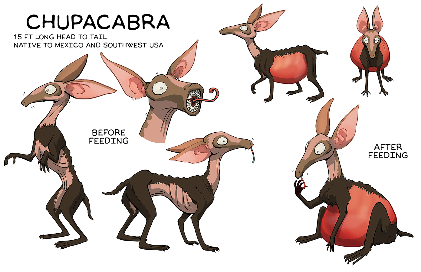  Creature design of a chupacabra as a harmless, mosquito-like pest 