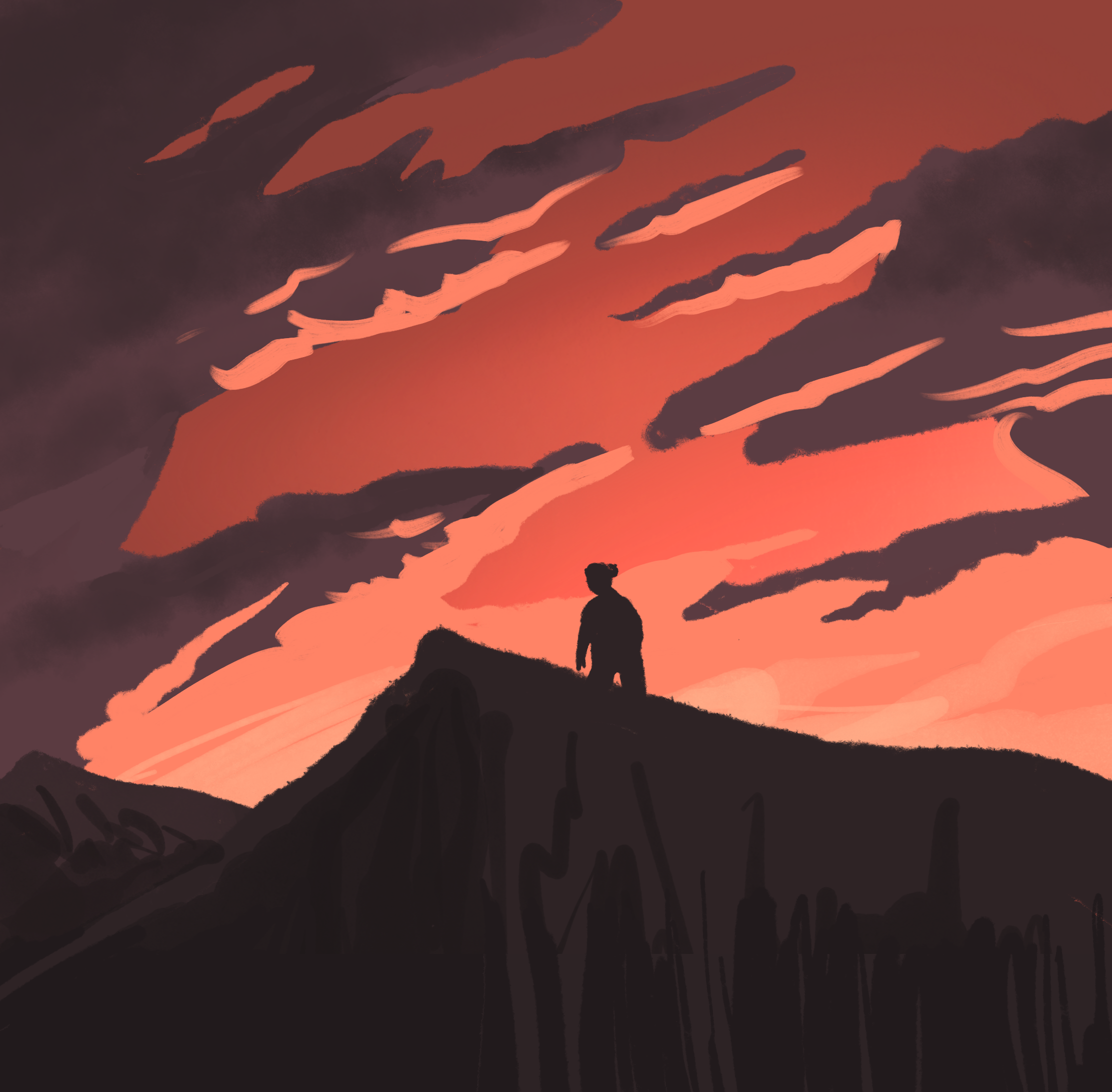 IMG_0896.png
