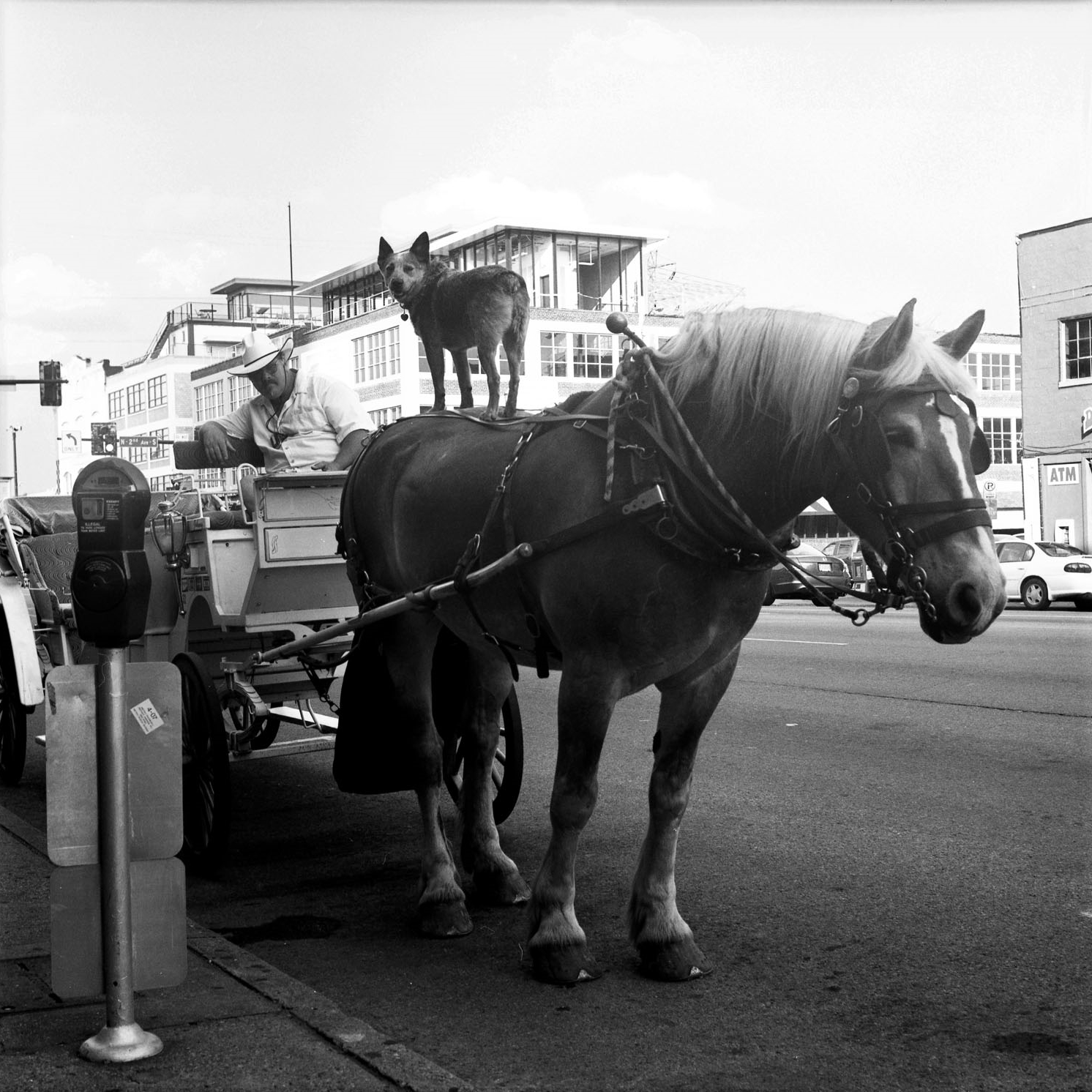 Nashville, TN