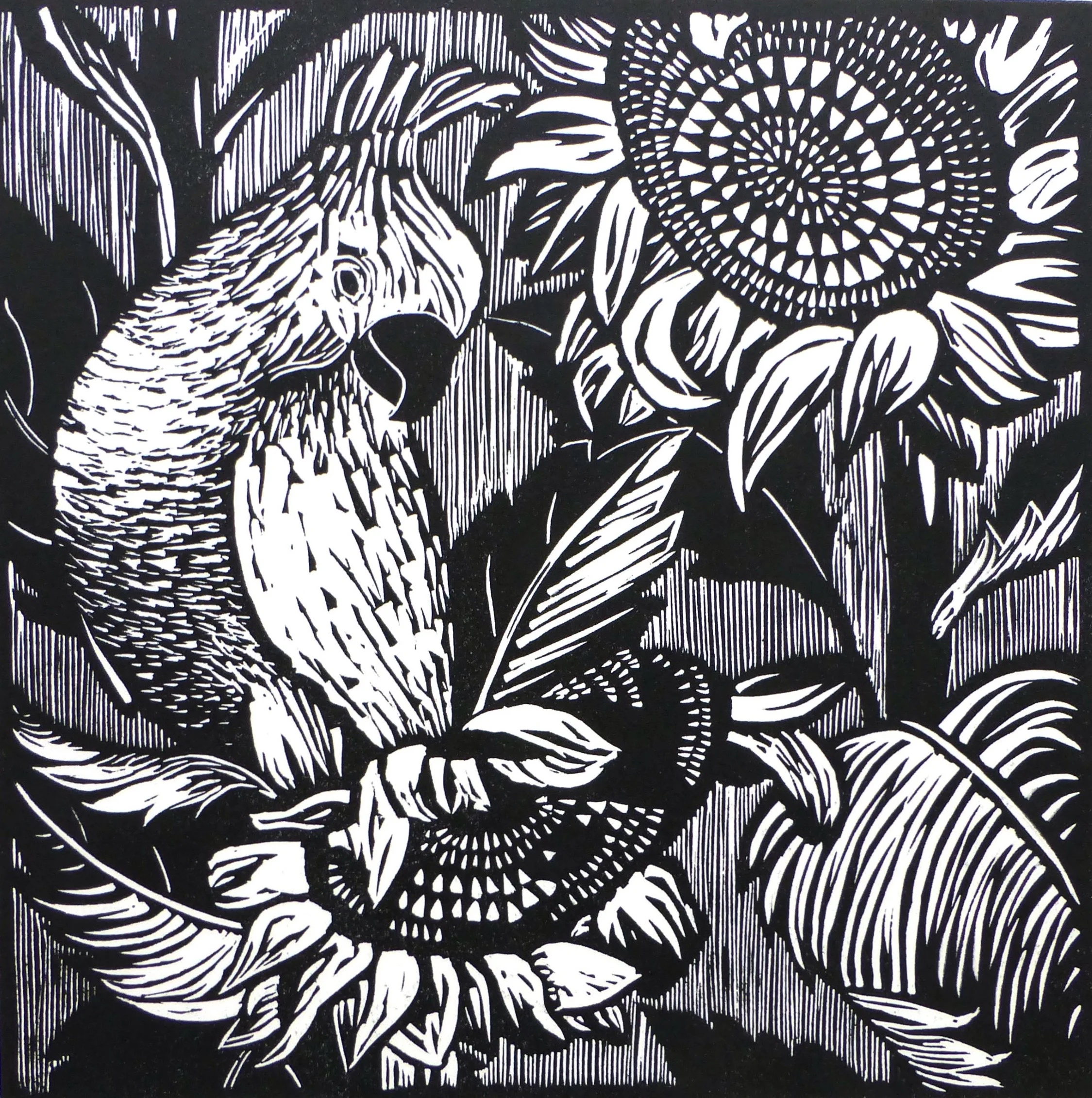 Black and White Linocuts — Lucy Timbrell