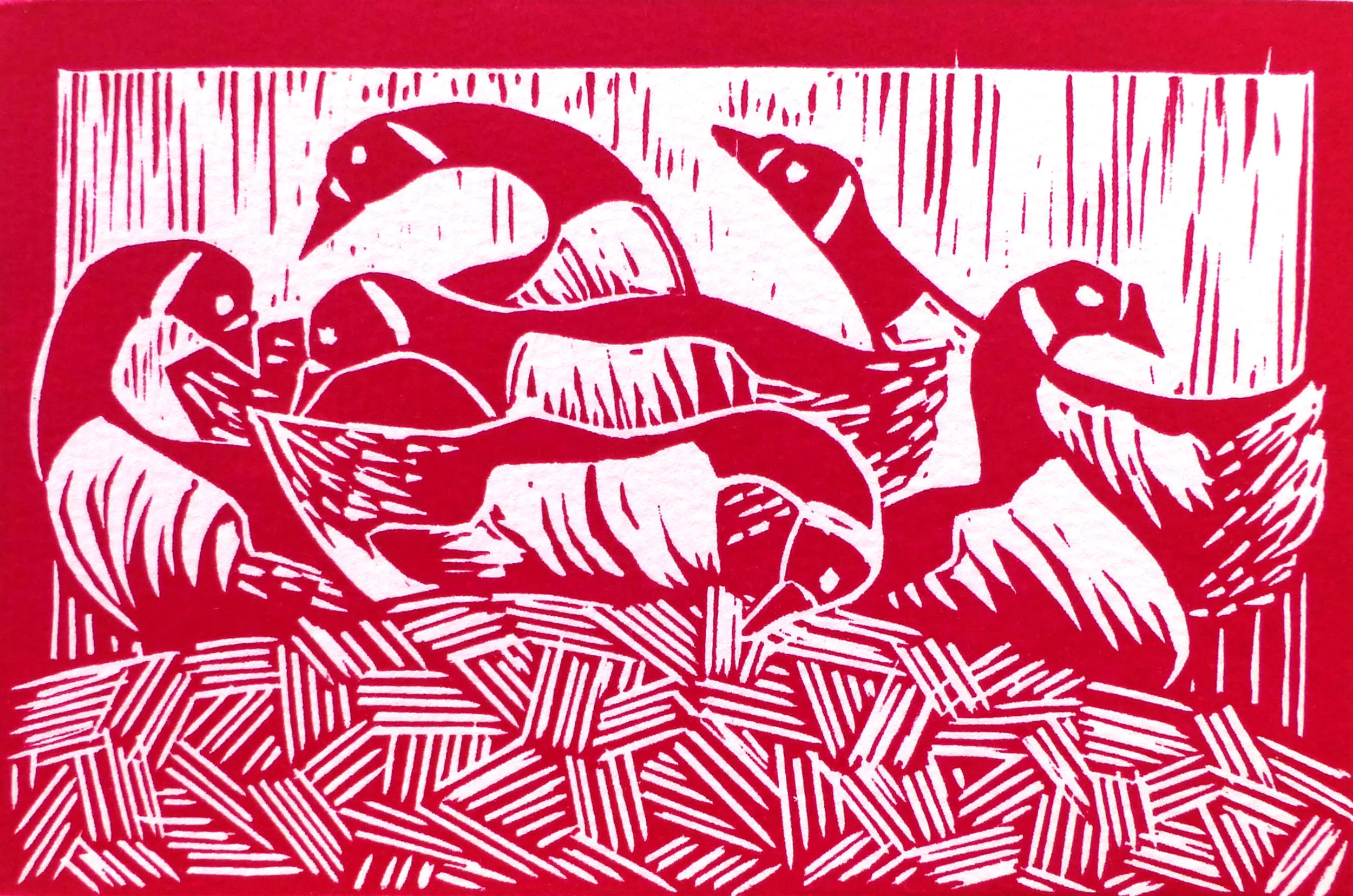 Six Geese Laying