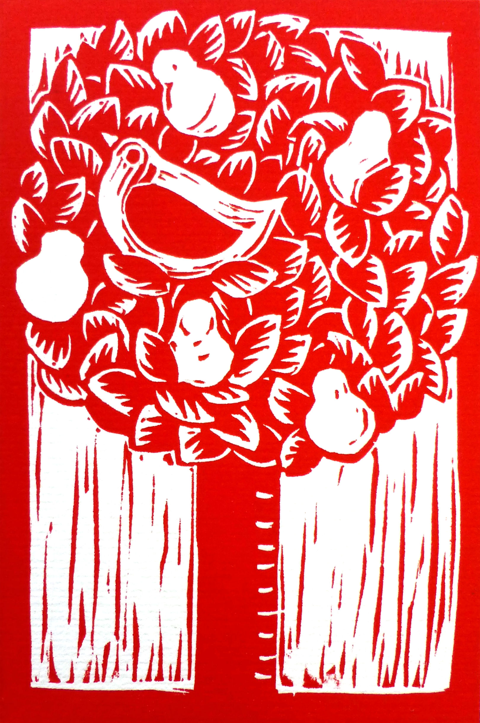 A Partridge in a Pear Tree