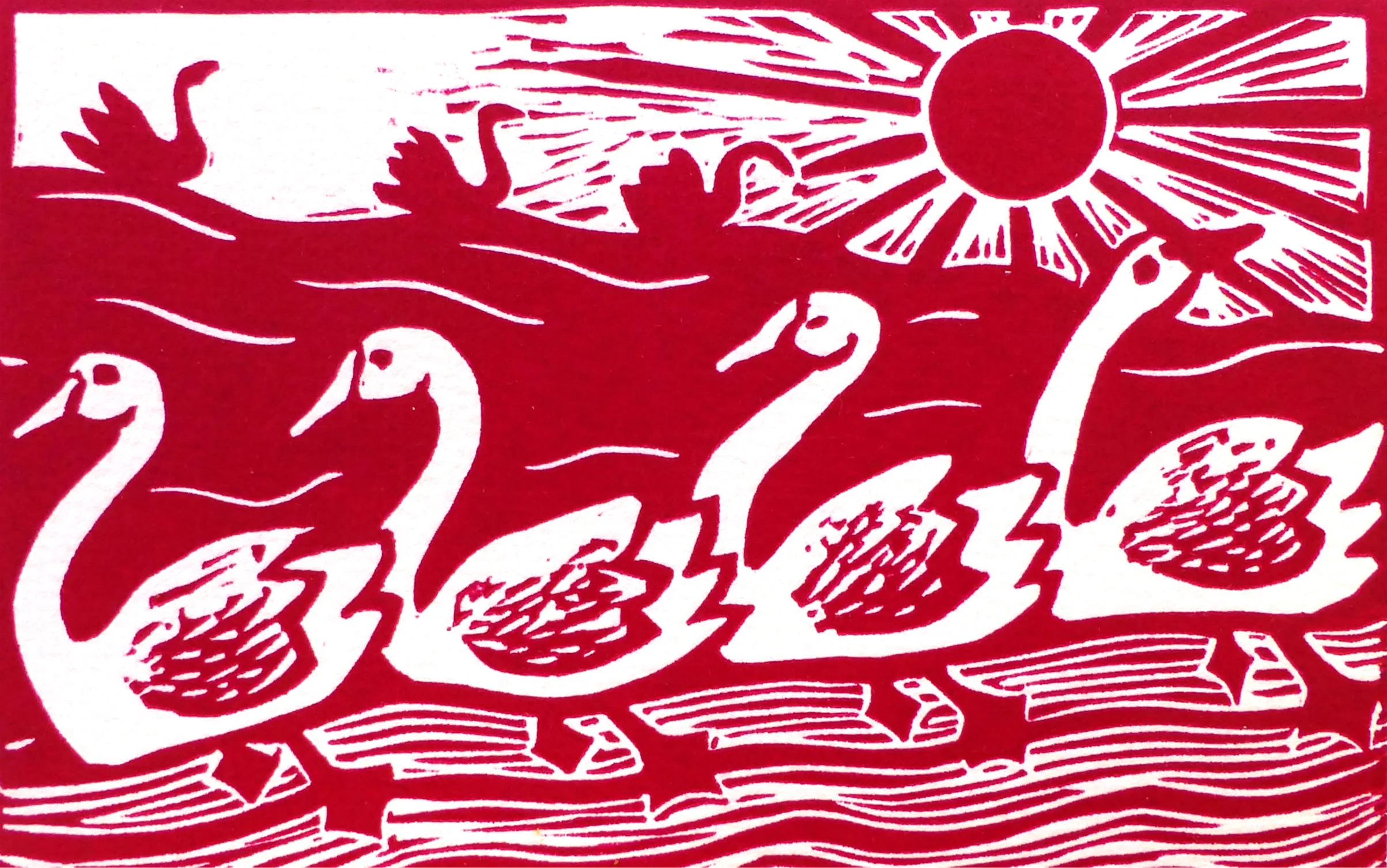 Seven Swans Swimming