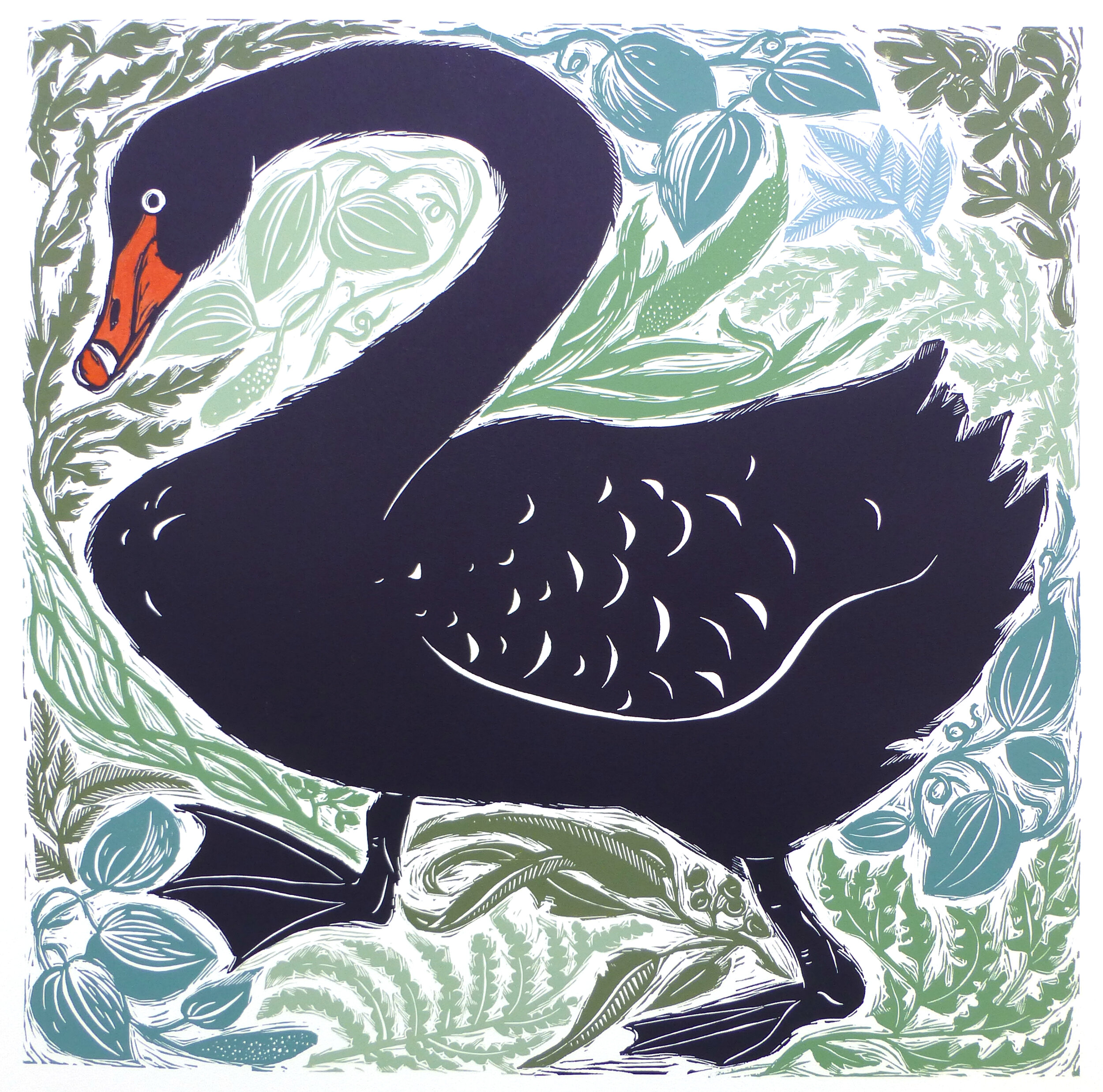 Black Swan Amongst Foliage.jpg