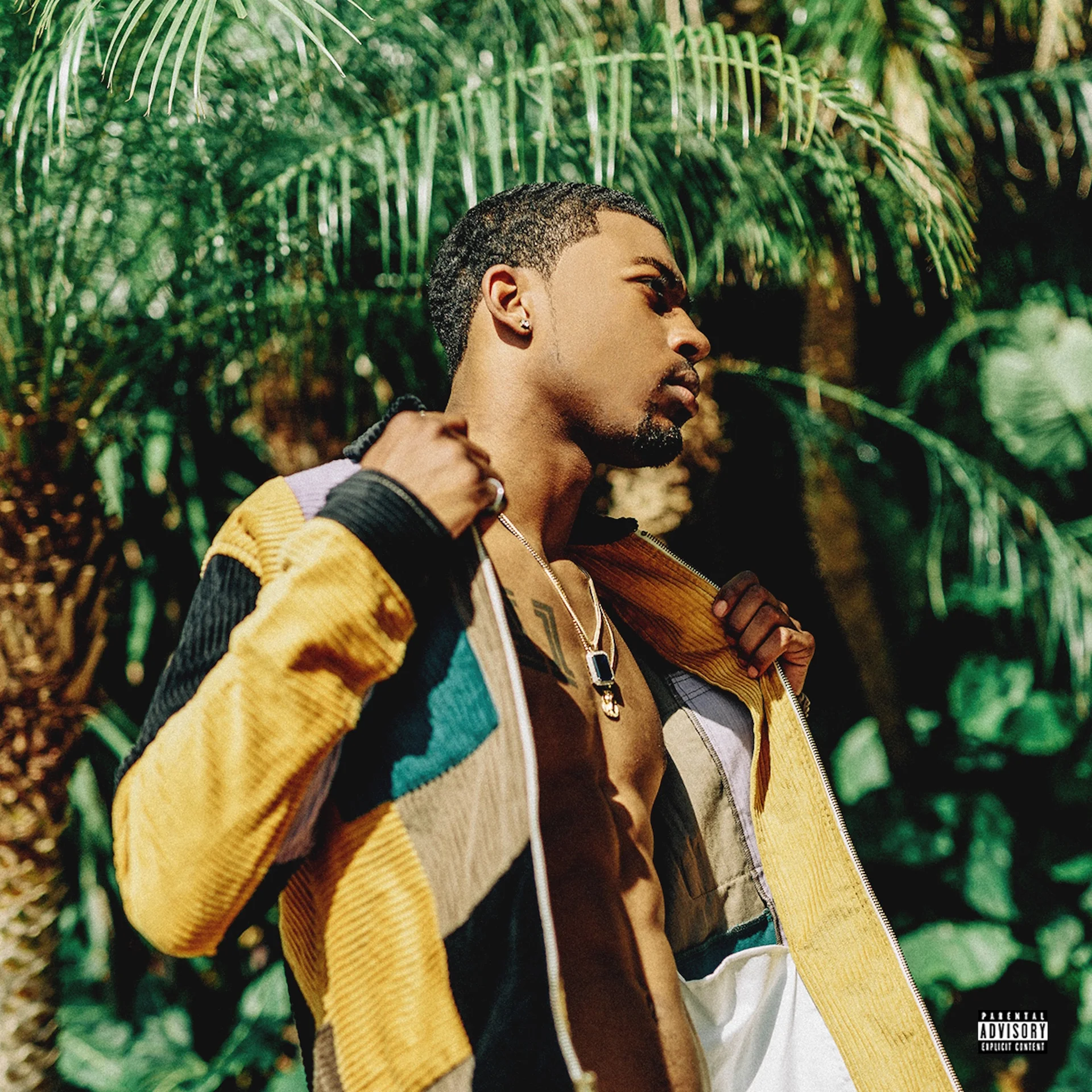 Devy Stonez - Enjoying Life (2018) (Copy)