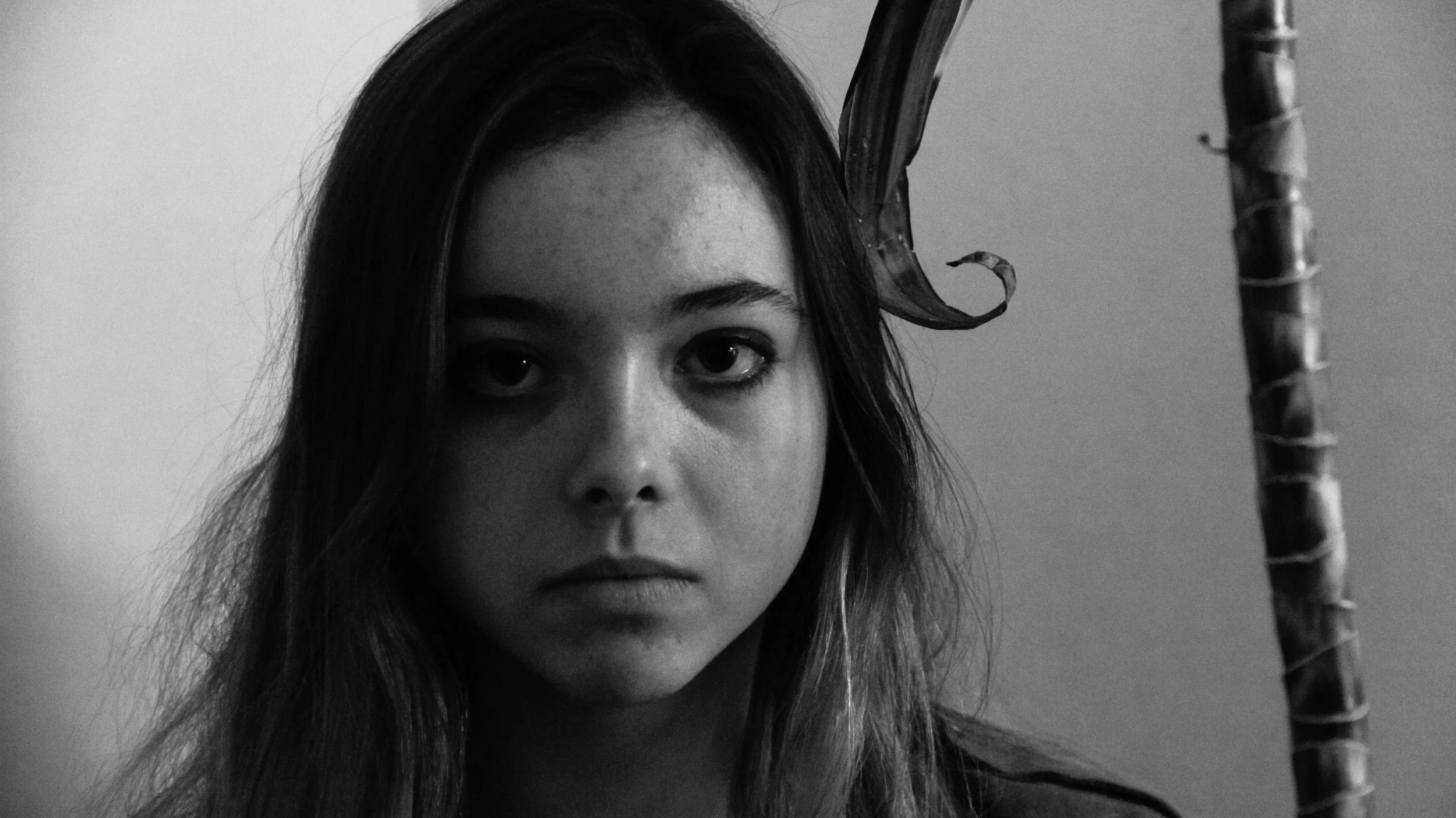 Caroline Gorman '18 is one half of Madness and the Film. Originally from NYC, she's been exposed to the sleepless art scene that now continues to fuel her passion for music and film at Brown. A musician, film-maker, and visual artist, she has great projects lying ahead. 
