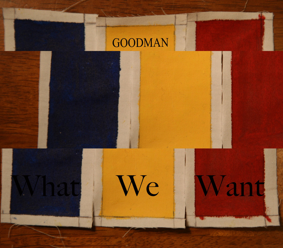 Cover of Goodman’s 2012 release, What We Want