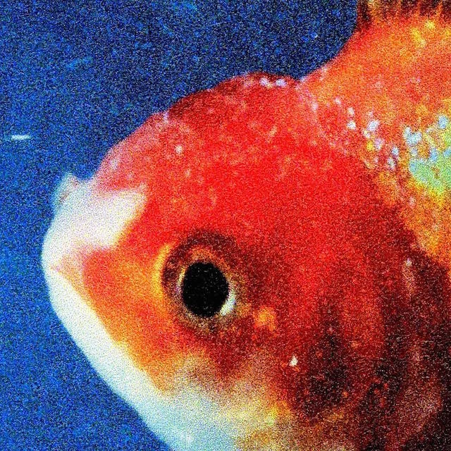 Vince-Staples-Big-Fish-Theory-Album-cover-art.jpg