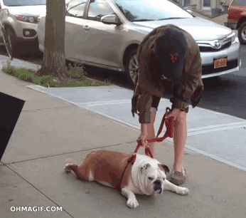 giphy (16).gif