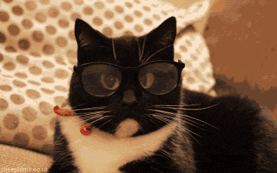 giphy (18).gif