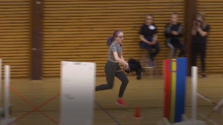 giphy-downsized-large.gif