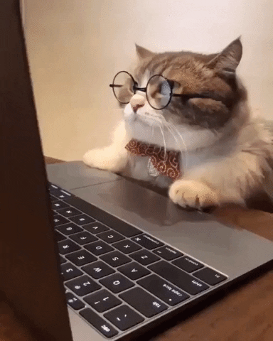 internet.gif