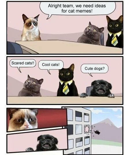 Funny-Animals-Memes---meanwhile-at-the-cat-meme-factory.jpeg