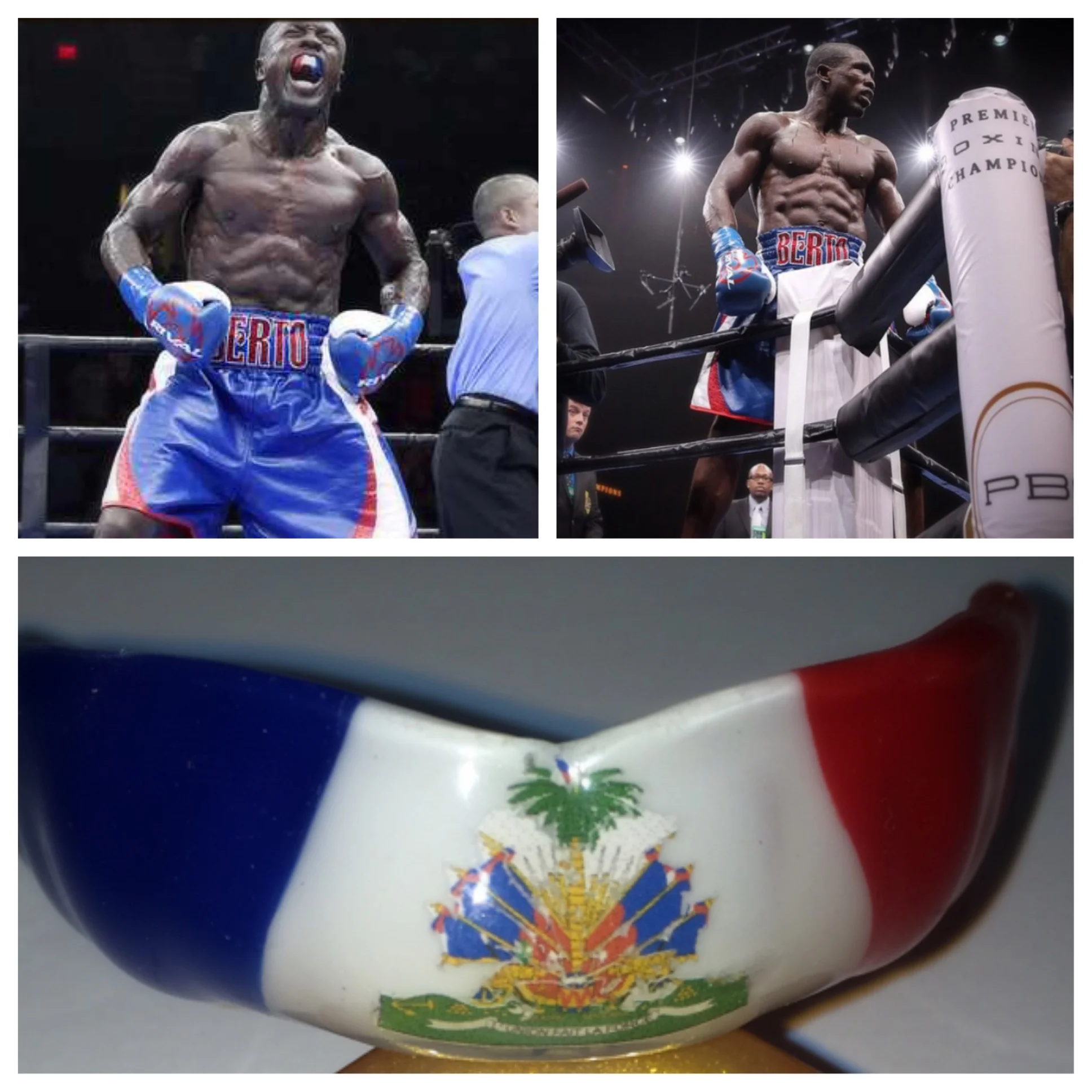  Andre Berto