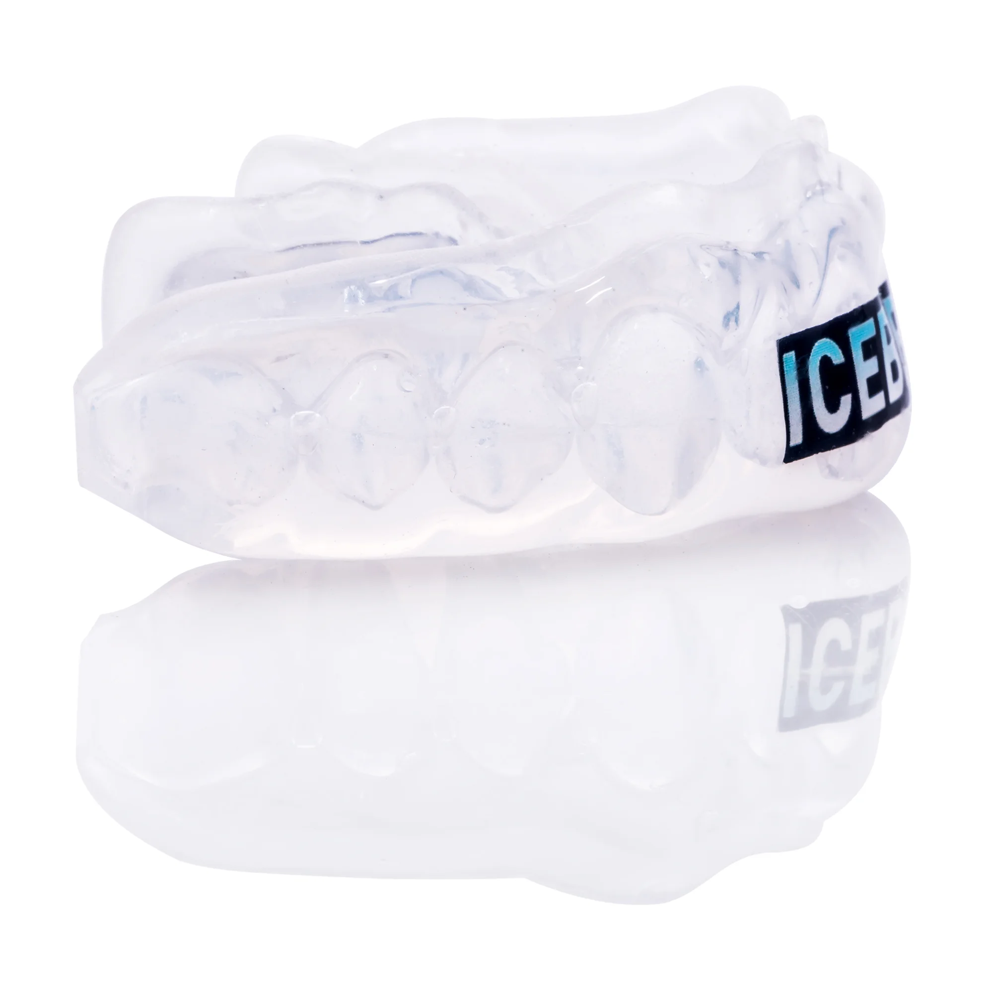 Icebergguards_clear_right_statusguard.jpg