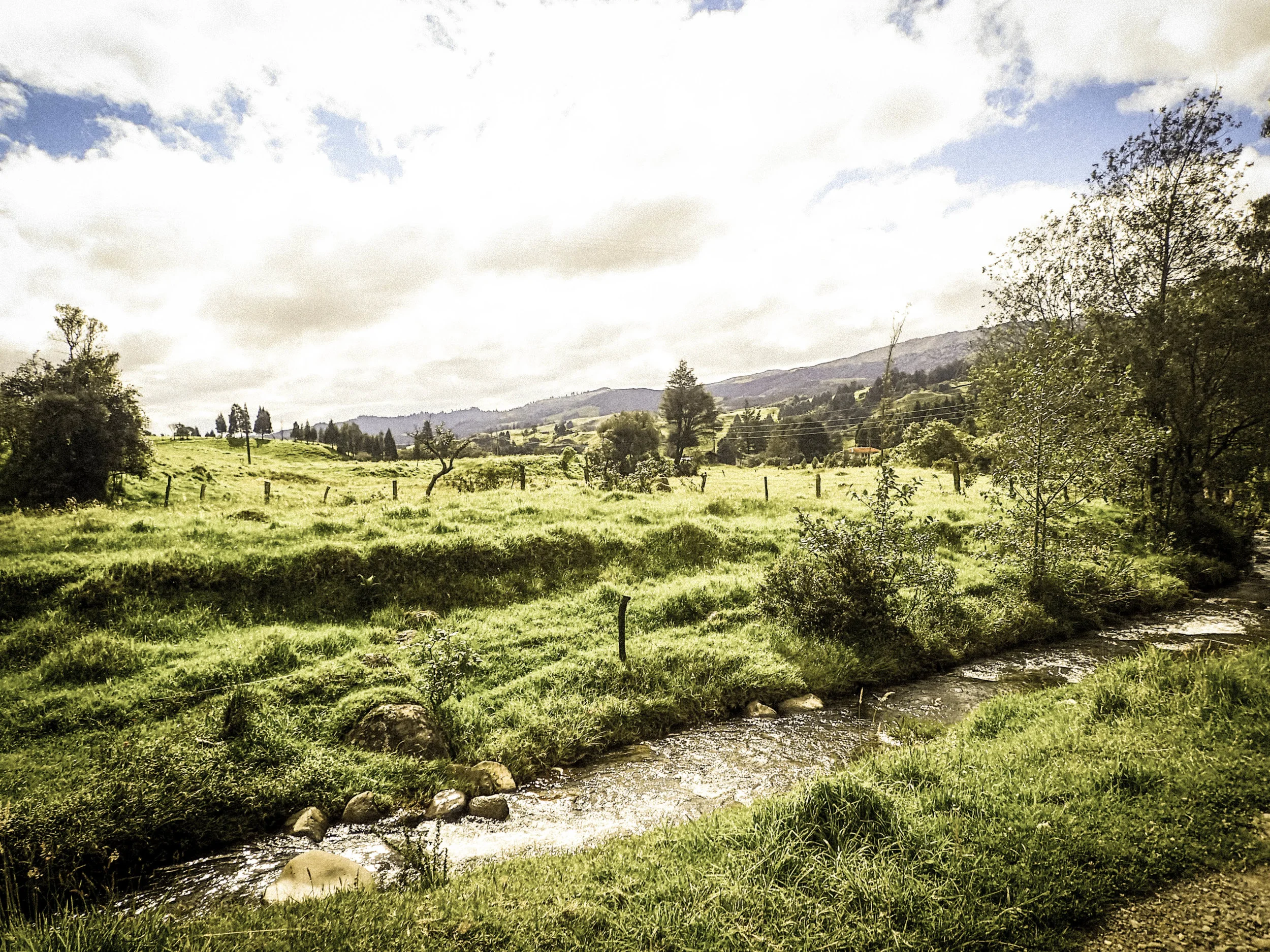 Ask the Expert: Michael DeSa on Latin American Farmland Investments