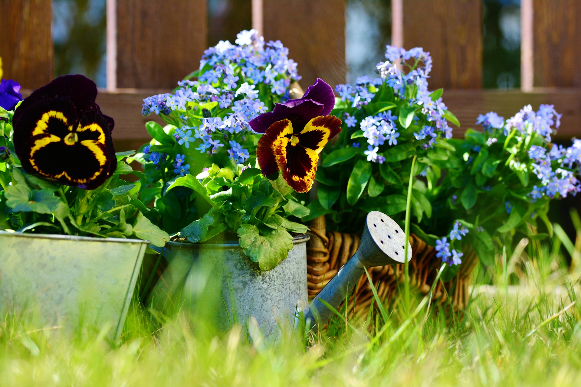 Fall Gardening Tips