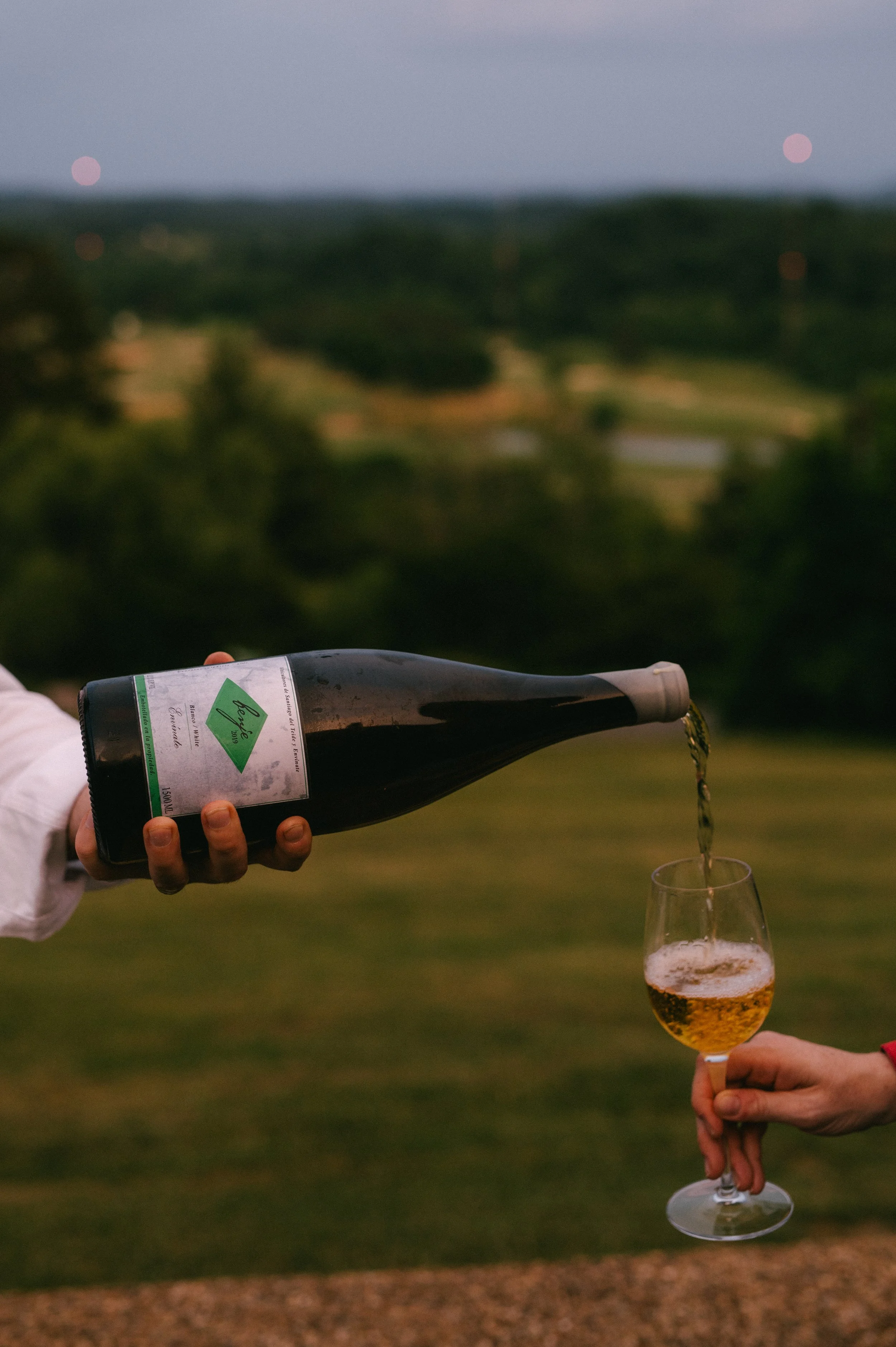 Volcanic Wines - From Sicily to Canary Islands 