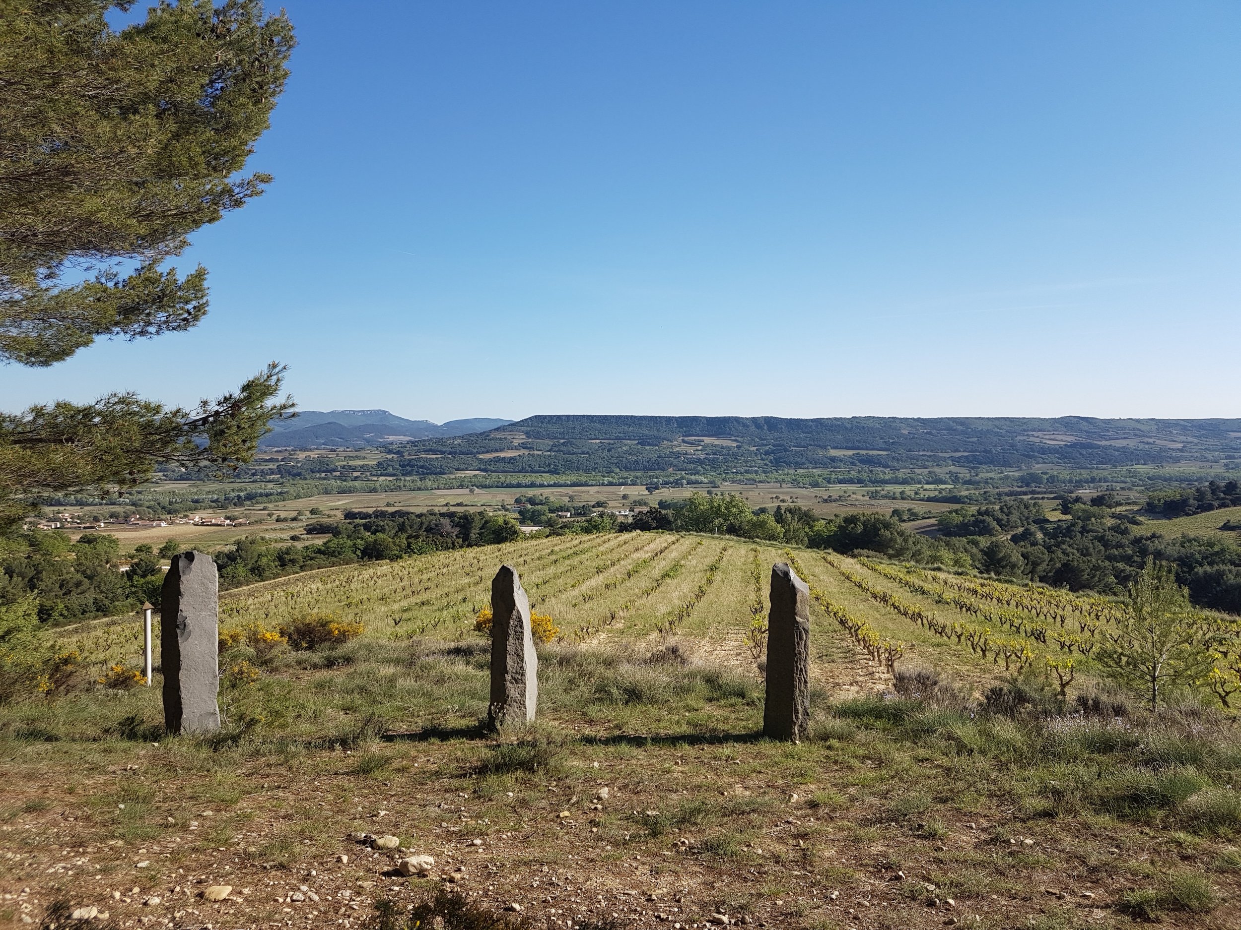 A Sensory Journey Through Southern Rhône: In the Spirit of Philippe Viret