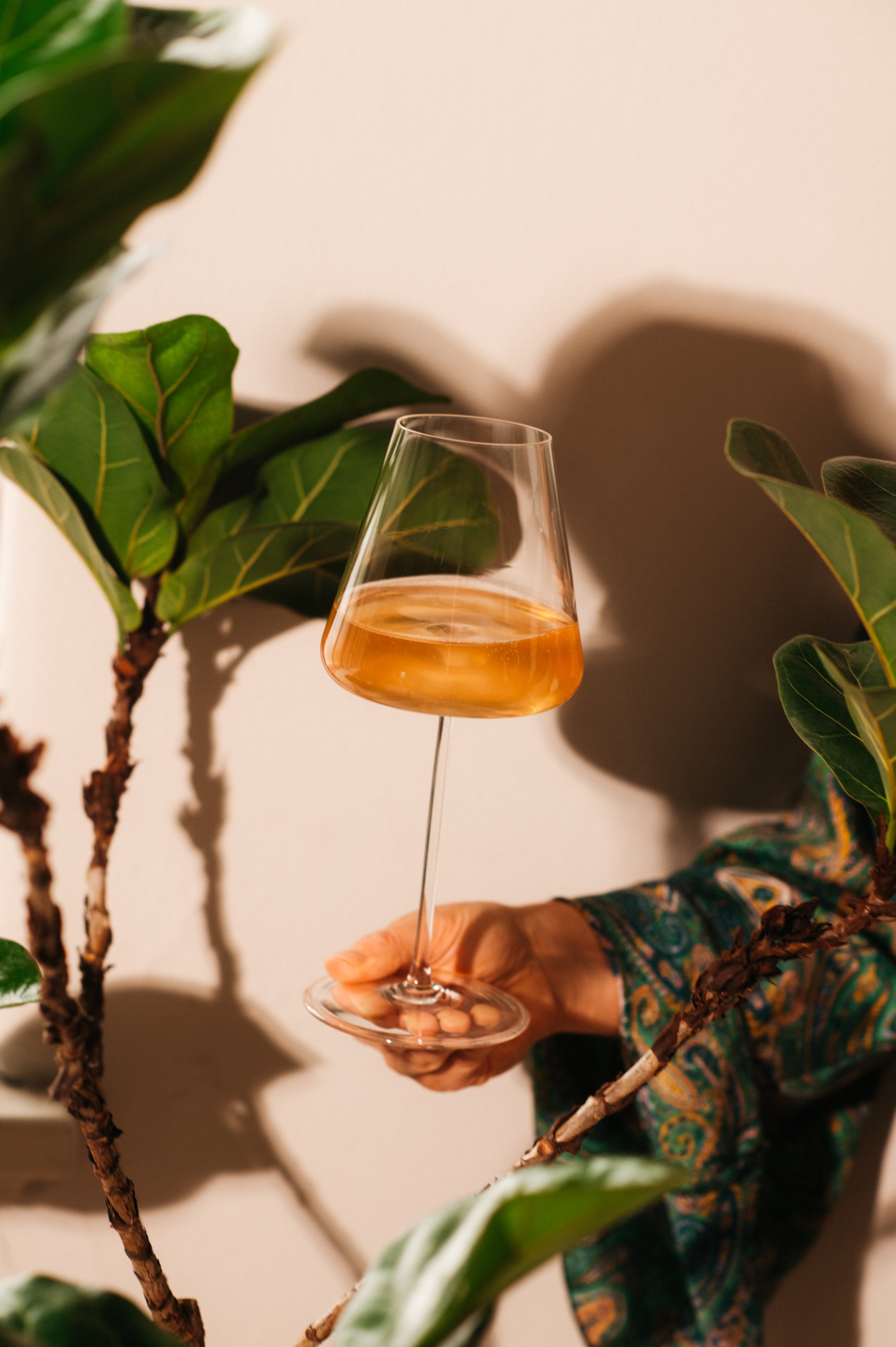 The Ritual of Wine - Wine Class